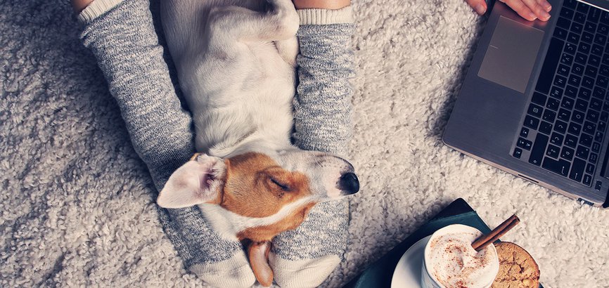 Woman in cozy home wear relaxing at home